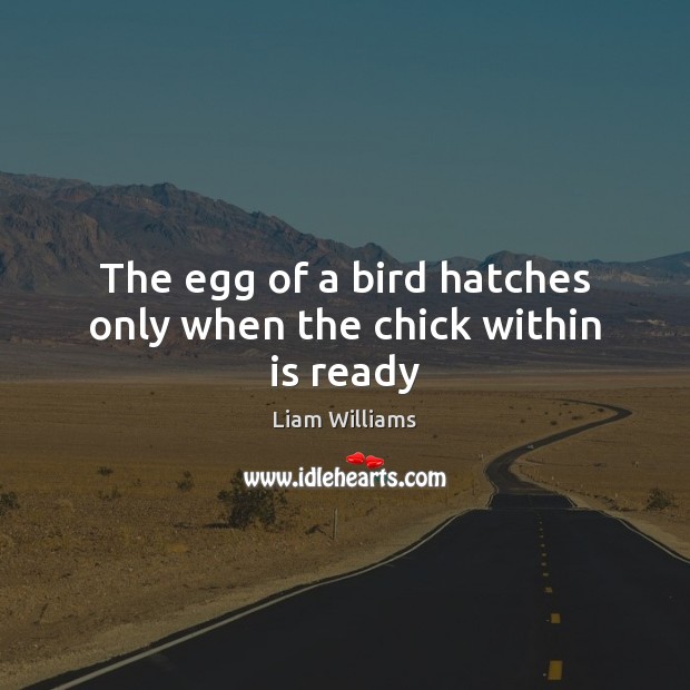 The egg of a bird hatches only when the chick within is ready Image