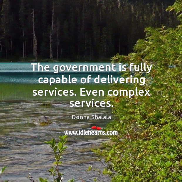 The government is fully capable of delivering services. Even complex services. Image