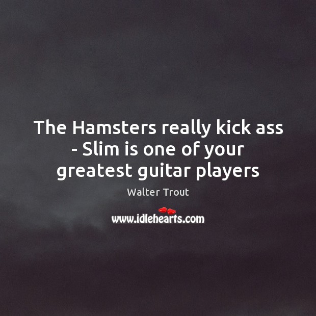 The Hamsters really kick ass – Slim is one of your greatest guitar players Walter Trout Picture Quote