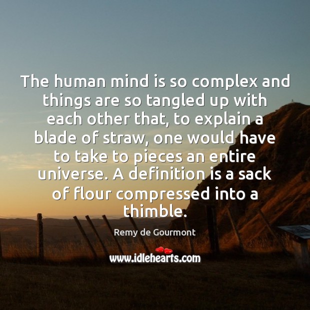 The human mind is so complex and things are so tangled up Remy de Gourmont Picture Quote