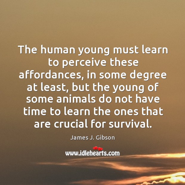 The human young must learn to perceive these affordances, in some degree at least James J. Gibson Picture Quote