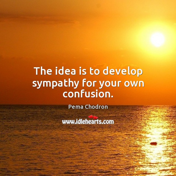 The idea is to develop sympathy for your own confusion. Image