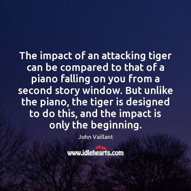 The impact of an attacking tiger can be compared to that of Picture Quotes Image