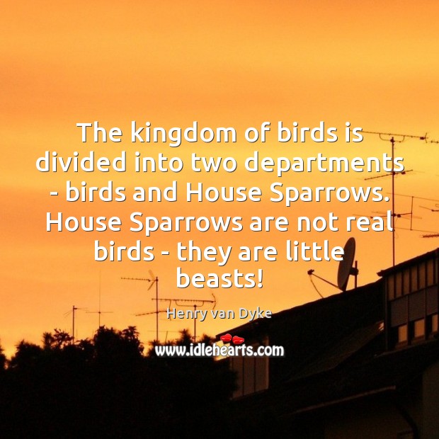 The kingdom of birds is divided into two departments – birds and Picture Quotes Image