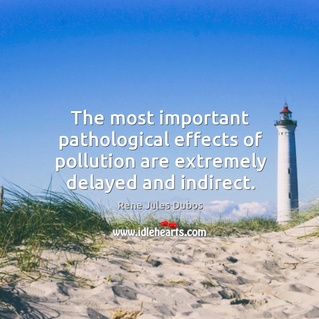 The most important pathological effects of pollution are extremely delayed and indirect. Rene Jules Dubos Picture Quote