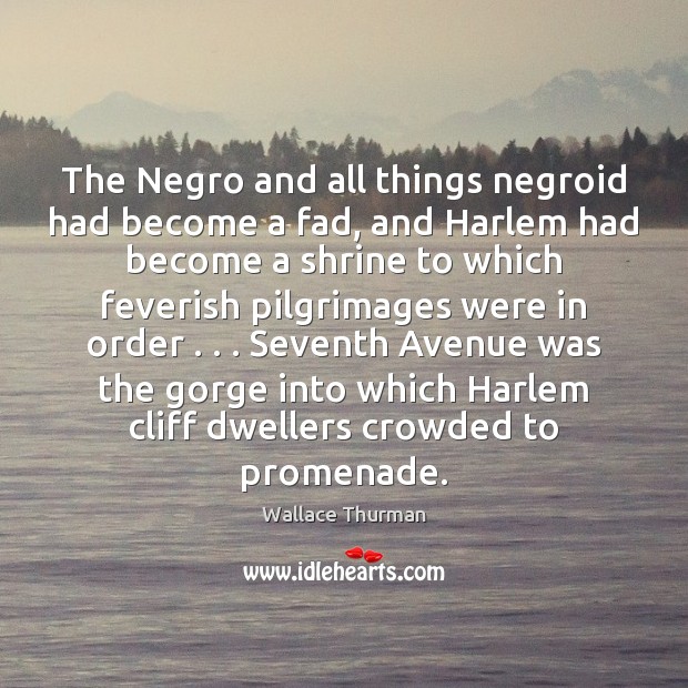 The Negro and all things negroid had become a fad, and Harlem Wallace Thurman Picture Quote