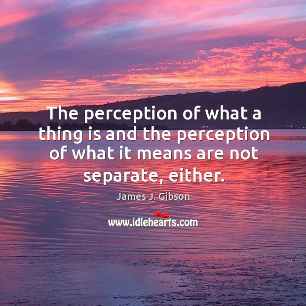 The perception of what a thing is and the perception of what it means are not separate, either. James J. Gibson Picture Quote