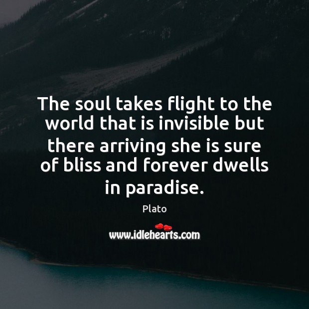 The soul takes flight to the world that is invisible but there Picture Quotes Image