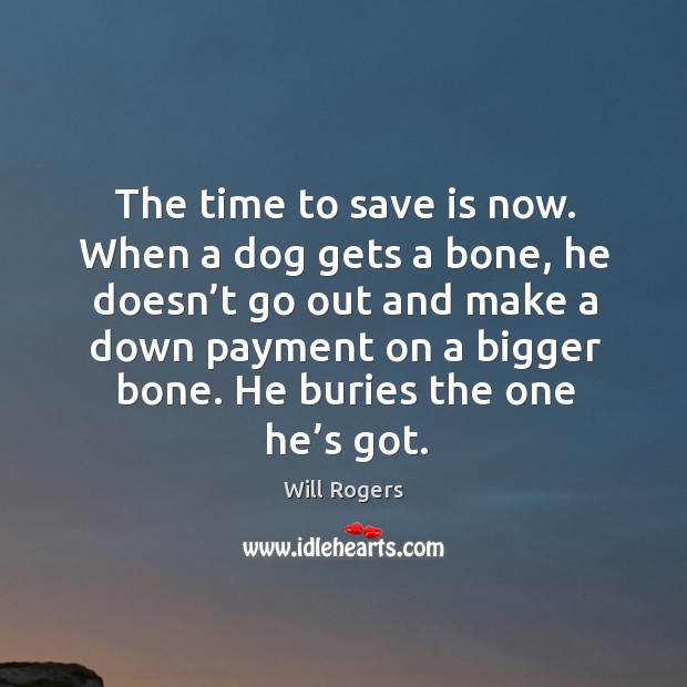 The time to save is now. When a dog gets a bone Will Rogers Picture Quote
