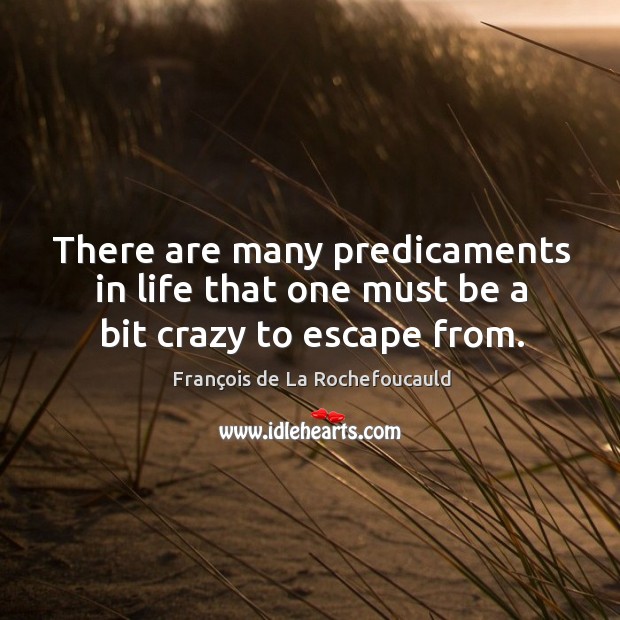 There are many predicaments in life that one must be a bit crazy to escape from. François de La Rochefoucauld Picture Quote