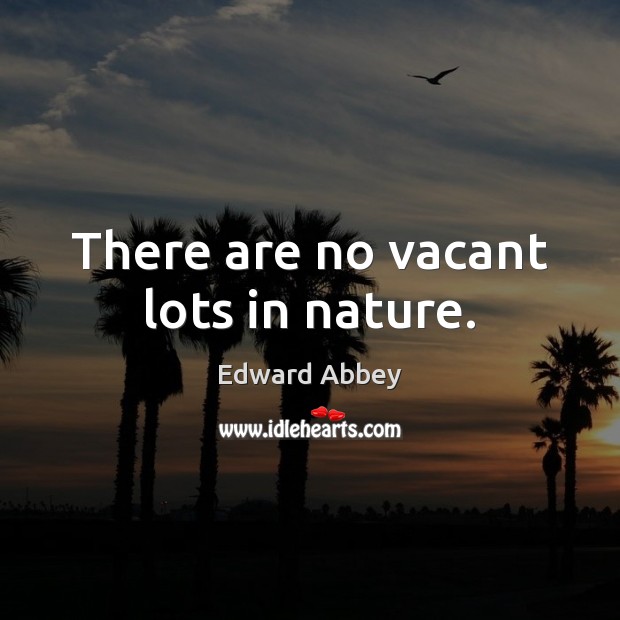 There are no vacant lots in nature. Image