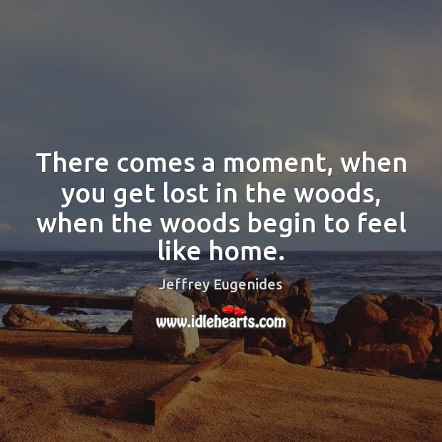 There comes a moment, when you get lost in the woods, when Picture Quotes Image