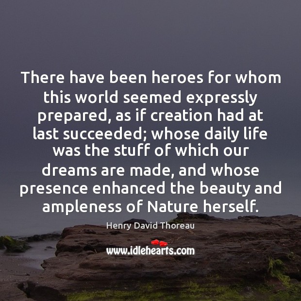 There have been heroes for whom this world seemed expressly prepared, as Henry David Thoreau Picture Quote