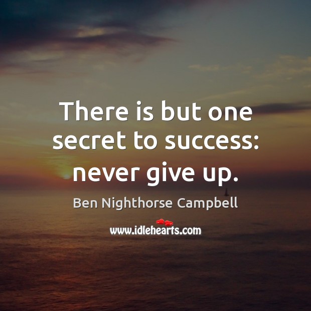 There is but one secret to success: never give up. Never Give Up Quotes Image