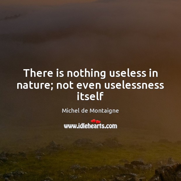 There is nothing useless in nature; not even uselessness itself Michel de Montaigne Picture Quote