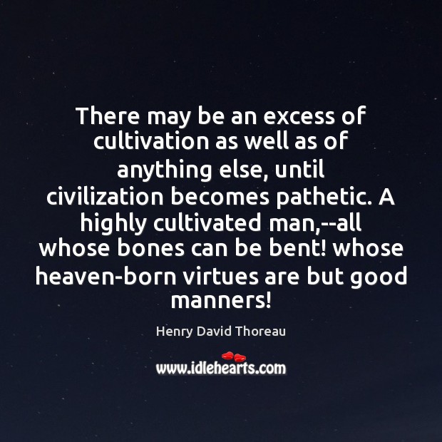 There may be an excess of cultivation as well as of anything Henry David Thoreau Picture Quote