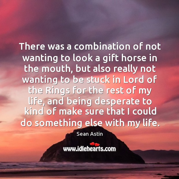 There was a combination of not wanting to look a gift horse in the mouth Gift Quotes Image