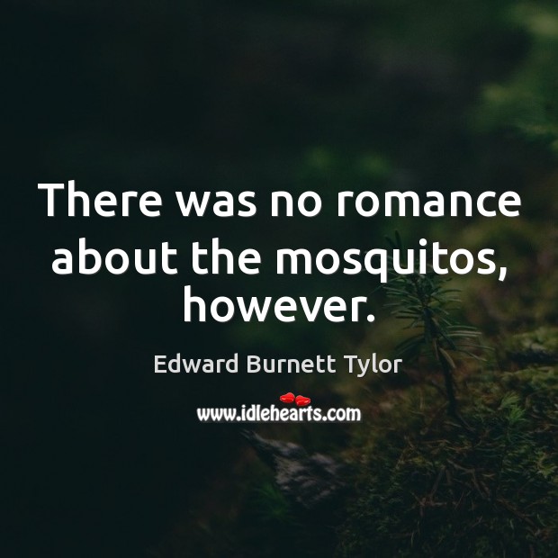 There was no romance about the mosquitos, however. Picture Quotes Image