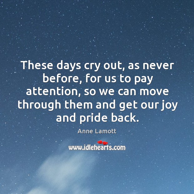 These days cry out, as never before, for us to pay attention, Anne Lamott Picture Quote