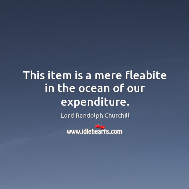 This item is a mere fleabite in the ocean of our expenditure. Lord Randolph Churchill Picture Quote