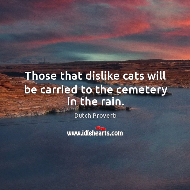 Those that dislike cats will be carried to the cemetery in the rain. Dutch Proverbs Image