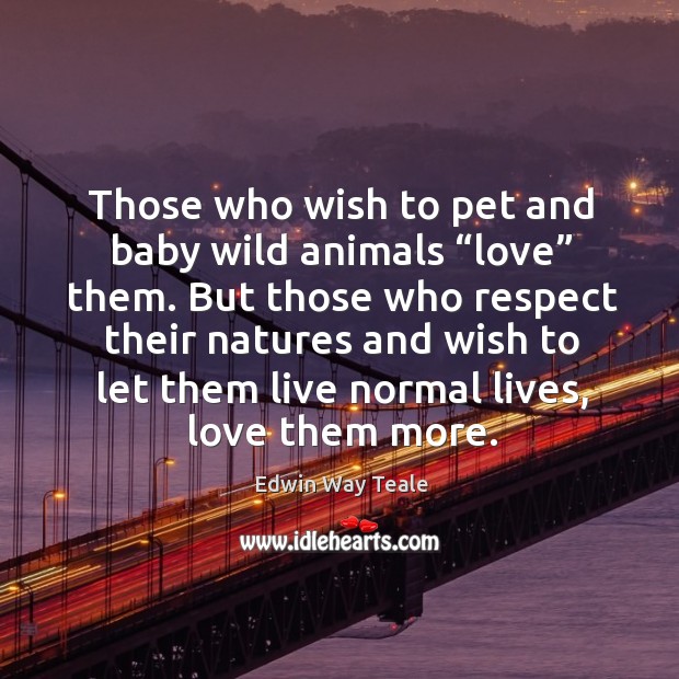 Those who wish to pet and baby wild animals “love” them. Edwin Way Teale Picture Quote