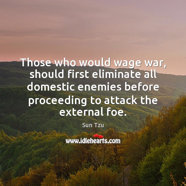 Those who would wage war, should first eliminate all domestic enemies before Sun Tzu Picture Quote