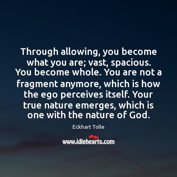 Through allowing, you become what you are; vast, spacious. You become whole. Image