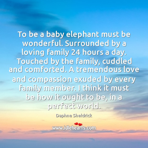 To be a baby elephant must be wonderful. Surrounded by a loving Image