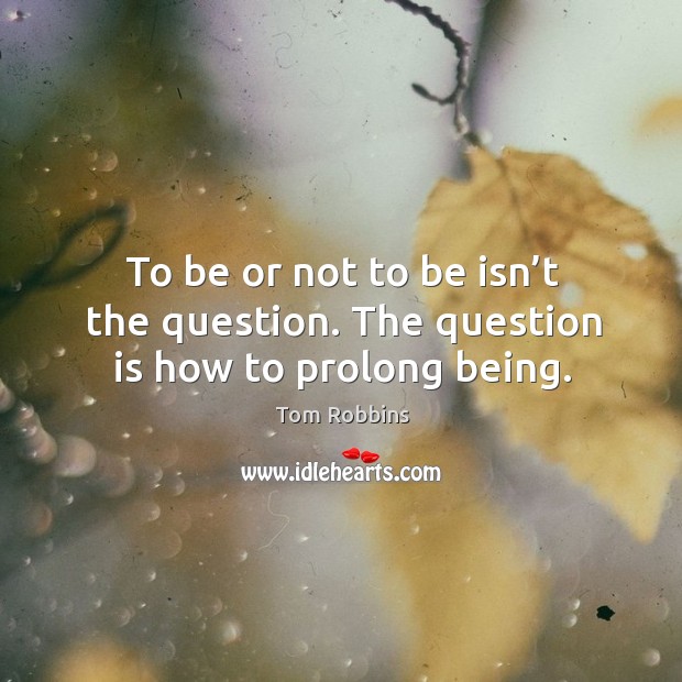 To be or not to be isn’t the question. The question is how to prolong being. Tom Robbins Picture Quote