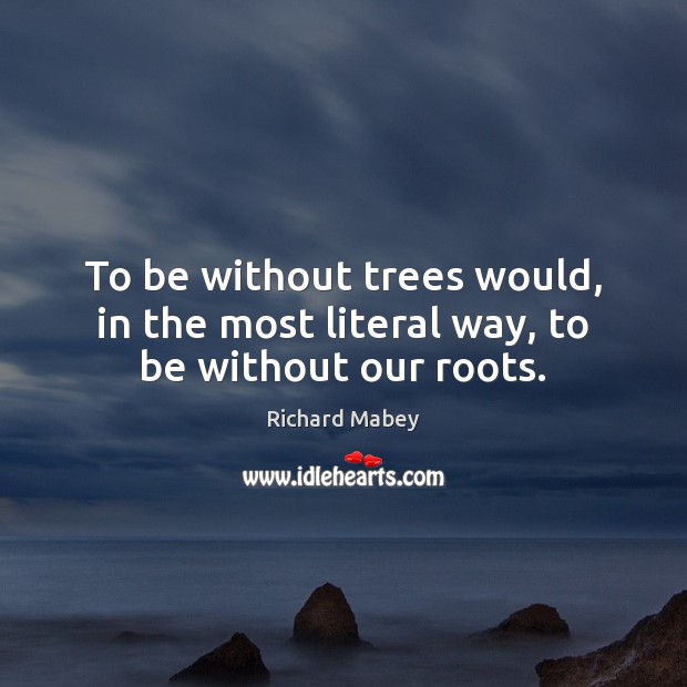 To be without trees would, in the most literal way, to be without our roots. Image