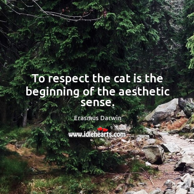 To respect the cat is the beginning of the aesthetic sense. Respect Quotes Image