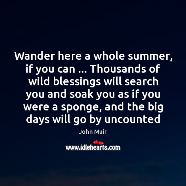 Wander here a whole summer, if you can … Thousands of wild blessings Blessings Quotes Image