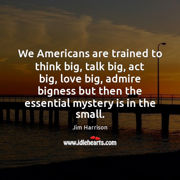 We Americans are trained to think big, talk big, act big, love Image