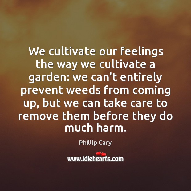 We cultivate our feelings the way we cultivate a garden: we can’t Phillip Cary Picture Quote