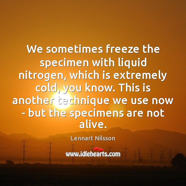 We sometimes freeze the specimen with liquid nitrogen, which is extremely cold, Image