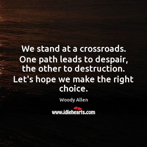 We stand at a crossroads. One path leads to despair, the other Woody Allen Picture Quote