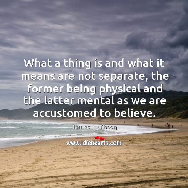 What a thing is and what it means are not separate, the former being physical James J. Gibson Picture Quote