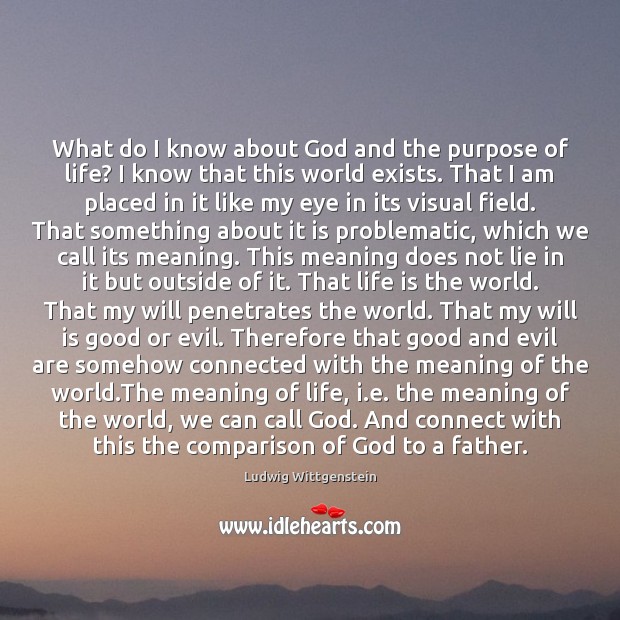 What do I know about God and the purpose of life? I Lie Quotes Image