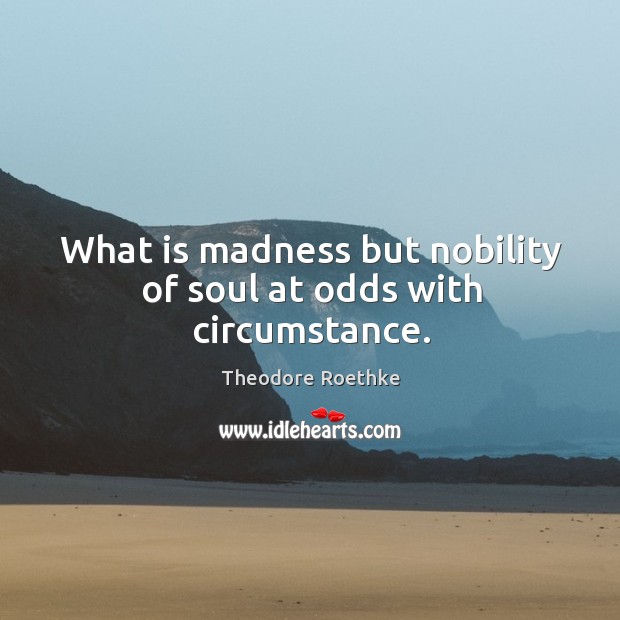 What is madness but nobility of soul at odds with circumstance. Theodore Roethke Picture Quote