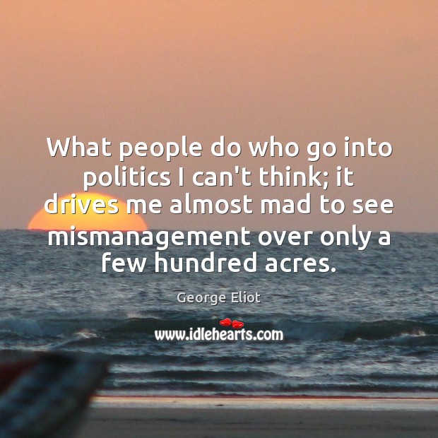 What people do who go into politics I can’t think; it drives George Eliot Picture Quote