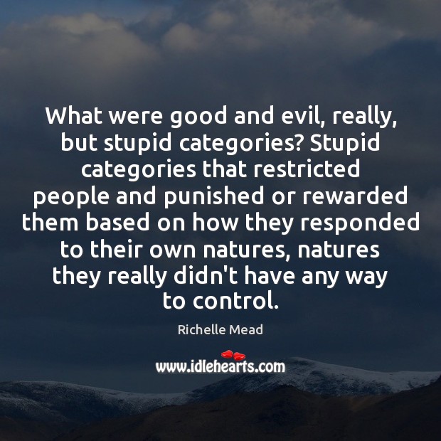 What were good and evil, really, but stupid categories? Stupid categories that Richelle Mead Picture Quote