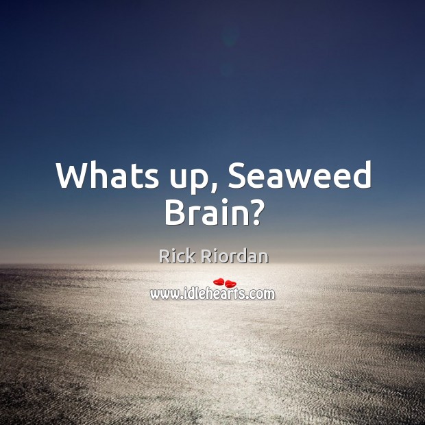 Whats up, Seaweed Brain? Image