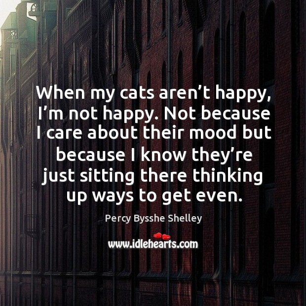 When my cats aren’t happy, I’m not happy. Percy Bysshe Shelley Picture Quote