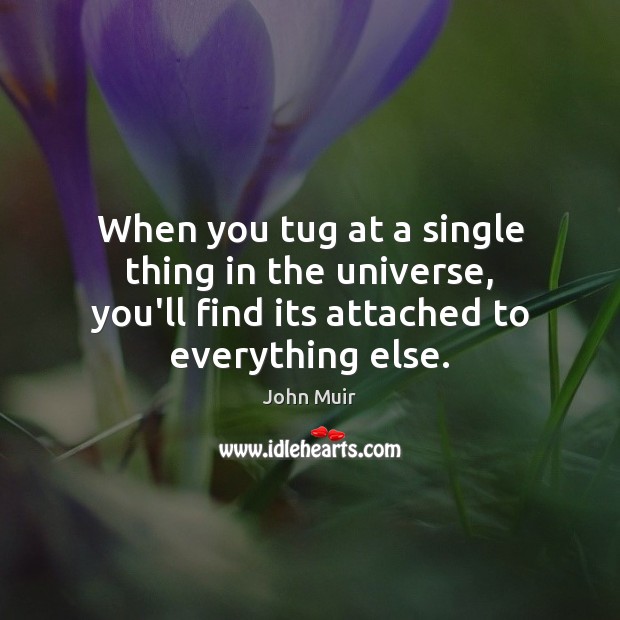 When you tug at a single thing in the universe, you’ll find John Muir Picture Quote
