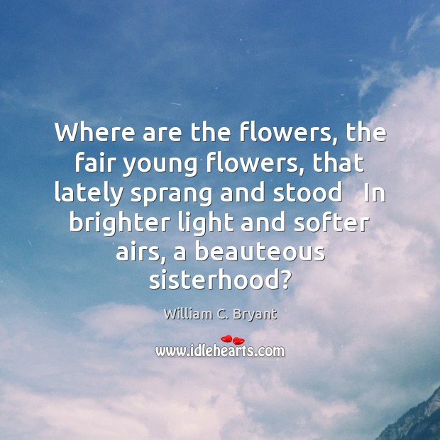 Where are the flowers, the fair young flowers, that lately sprang and Picture Quotes Image