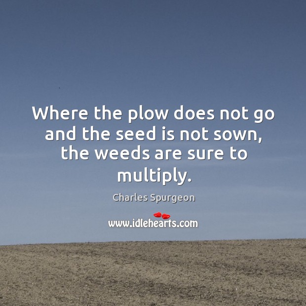 Where the plow does not go and the seed is not sown, the weeds are sure to multiply. Image