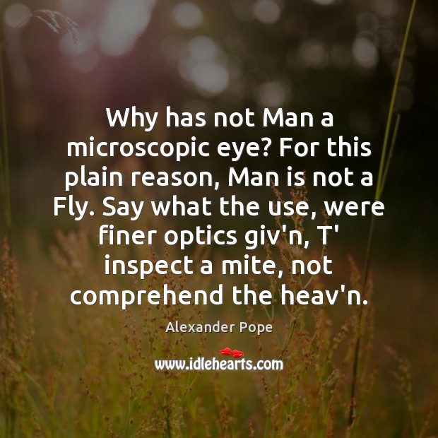 Why has not Man a microscopic eye? For this plain reason, Man Alexander Pope Picture Quote