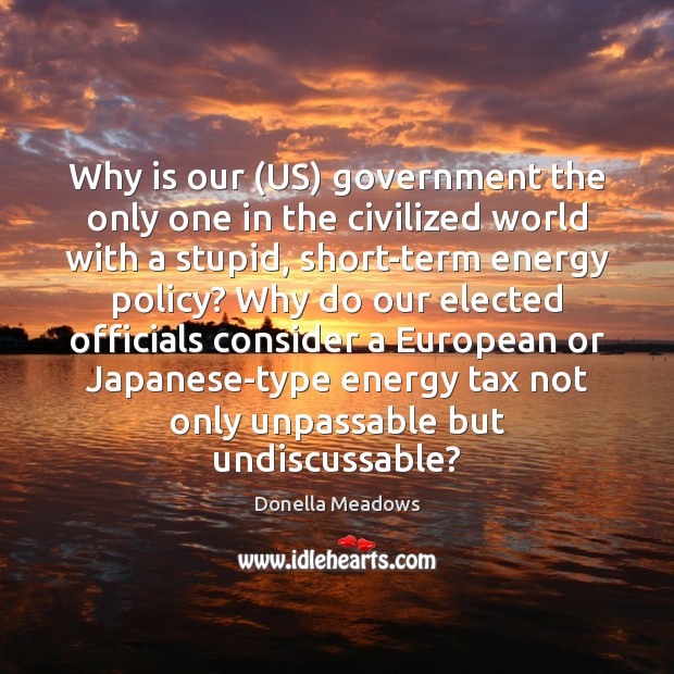 Why is our (US) government the only one in the civilized world Donella Meadows Picture Quote