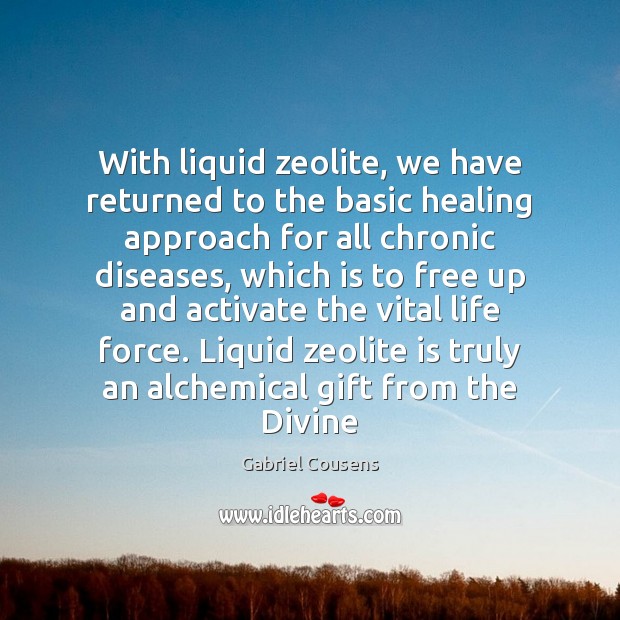 With liquid zeolite, we have returned to the basic healing approach for Gift Quotes Image